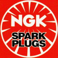 Picture of Spark plug DPR6EA-9 NGK