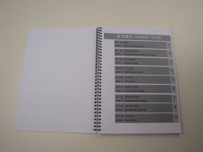 Picture of Workshop manual Skyteam Euro-4