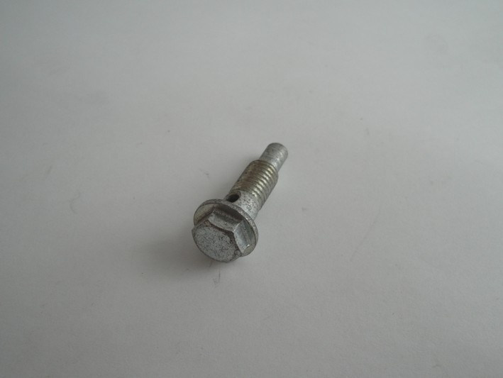 Picture of Bolt oil C310, C320