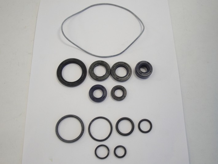 Picture of Oil seal kit Skyteam 50cc Cobra Ace 