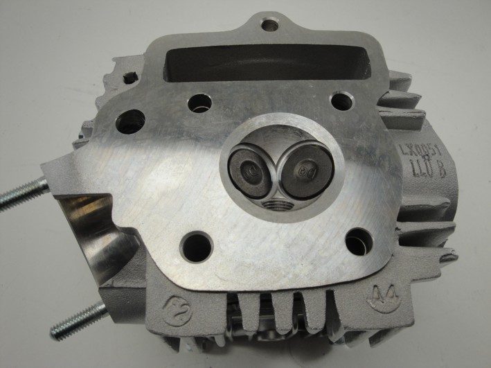 Picture of Cylinder head Skyteam T-Rex 50cc 