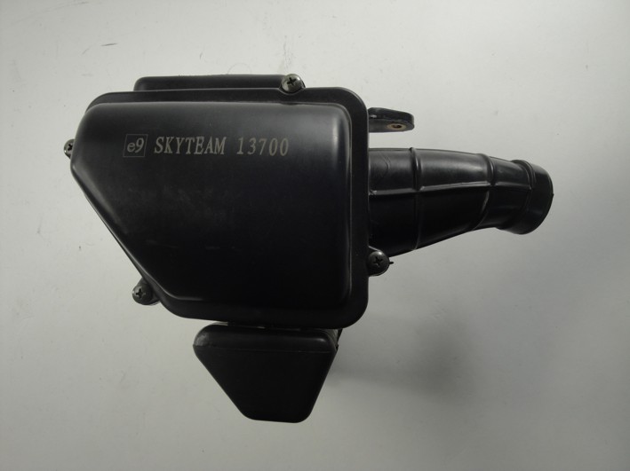 Picture of Air filter complete Skyteam Ace 50cc 