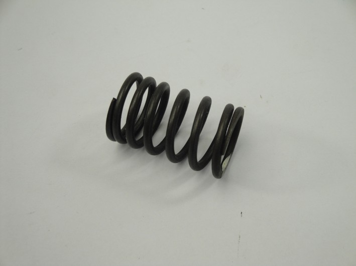 Picture of Valve spring outside Skyteam, Hanway